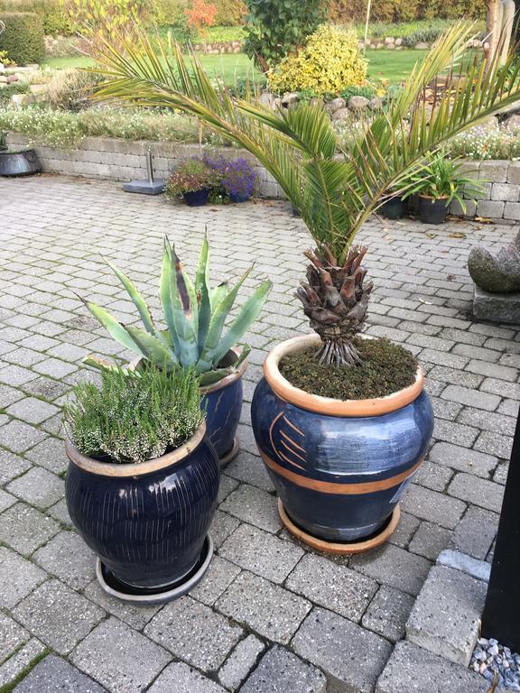 Ebeltoft Centrum Lägenhet Exteriör bild