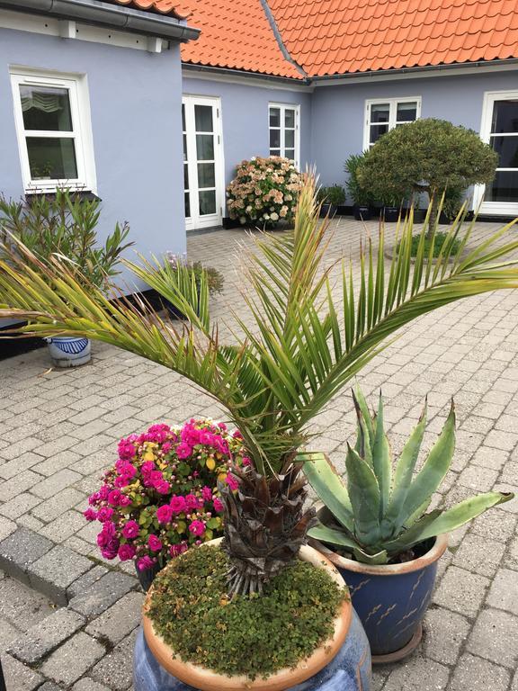 Ebeltoft Centrum Lägenhet Exteriör bild